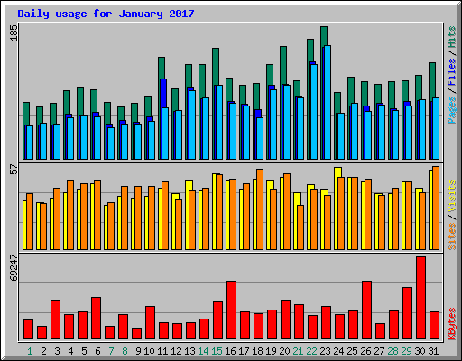 Daily usage for January 2017