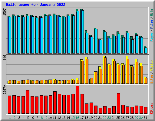 Daily usage for January 2022