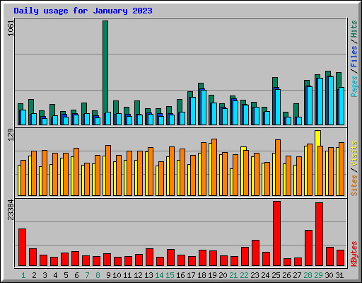 Daily usage for January 2023