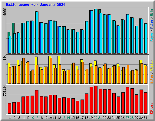 Daily usage for January 2024