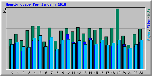 Hourly usage for January 2016