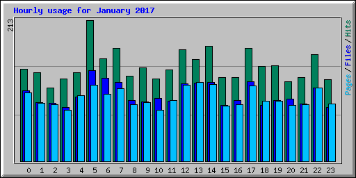 Hourly usage for January 2017