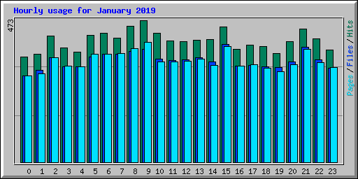 Hourly usage for January 2019