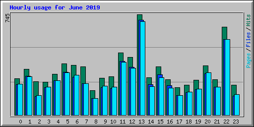 Hourly usage for June 2019