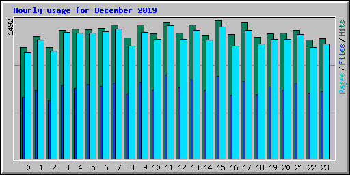 Hourly usage for December 2019