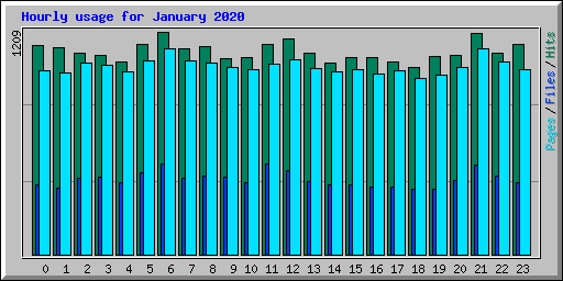 Hourly usage for January 2020