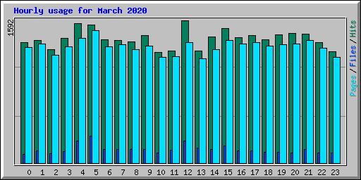 Hourly usage for March 2020