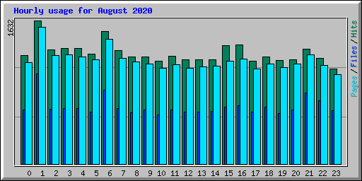 Hourly usage for August 2020