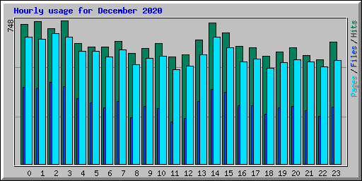 Hourly usage for December 2020