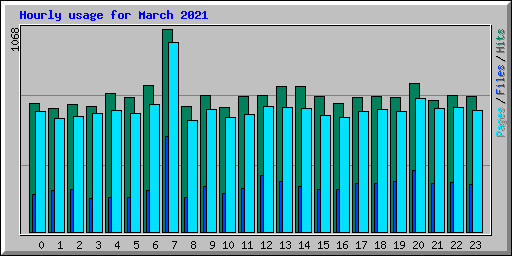 Hourly usage for March 2021