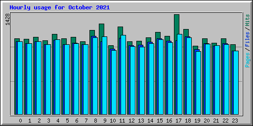 Hourly usage for October 2021