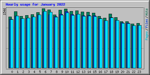 Hourly usage for January 2022