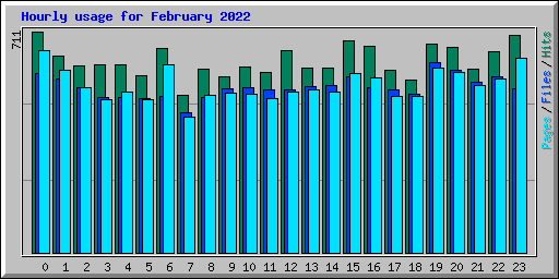 Hourly usage for February 2022