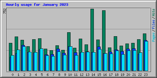 Hourly usage for January 2023