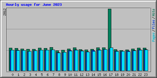 Hourly usage for June 2023