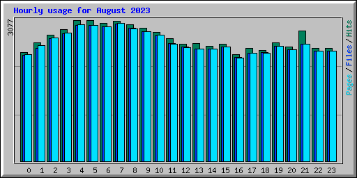 Hourly usage for August 2023