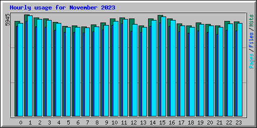 Hourly usage for November 2023