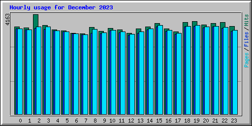 Hourly usage for December 2023