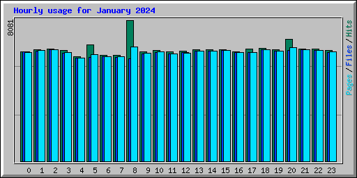 Hourly usage for January 2024