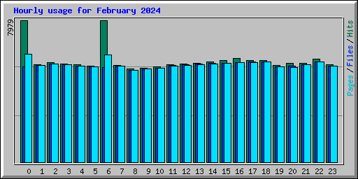 Hourly usage for February 2024