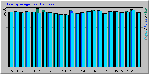 Hourly usage for May 2024