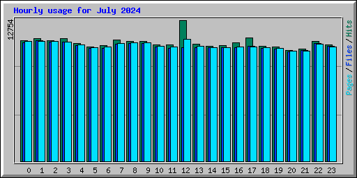 Hourly usage for July 2024