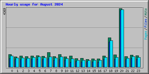 Hourly usage for August 2024