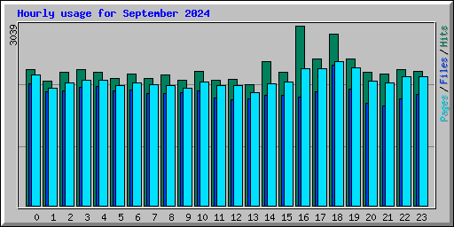 Hourly usage for September 2024