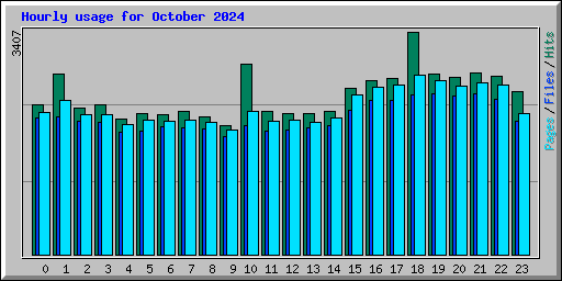 Hourly usage for October 2024