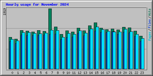 Hourly usage for November 2024